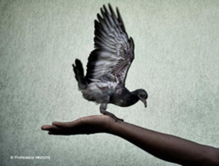 Open Migration, the journey of humanity - unlocked