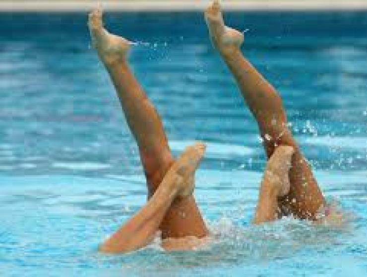Spring Synchro 20./22. April 2018